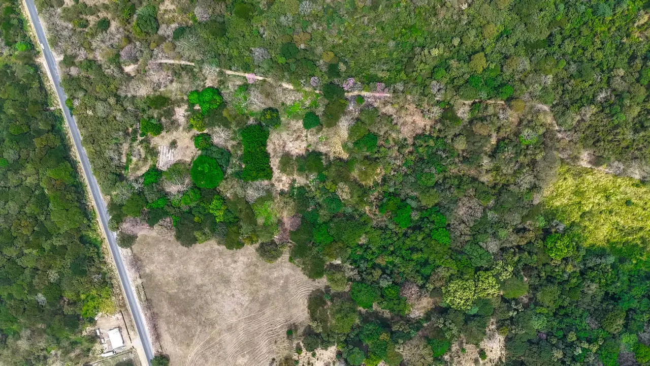 La propiedad se ubica en el sector de Guapinol de Porozal de Cañas, a unos 3 km al este del Puente de ...
