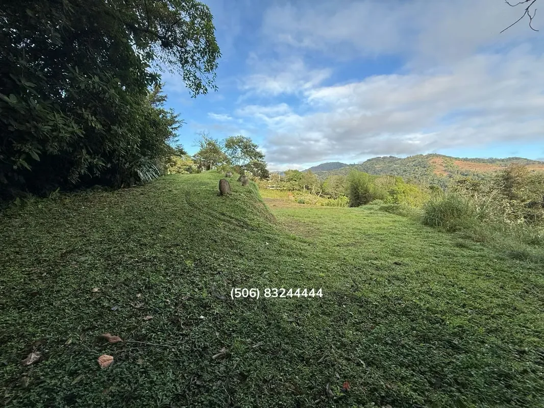 LOT FOR SALE IN CARTAGO, VALLE DE OROSI