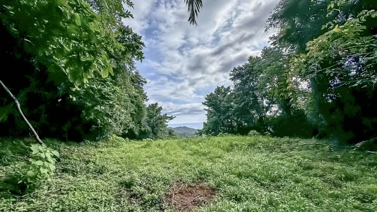 La propiedad se ubica en Corozalito de Bejuco, Nandayure, provincia de Guanacaste; exactamente de la ...