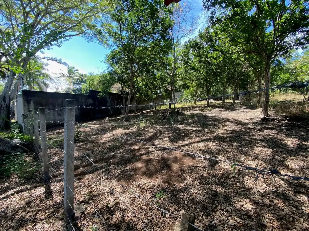 This lot is perfect for those looking to invest in a high-value area, surrounded by nature and ...