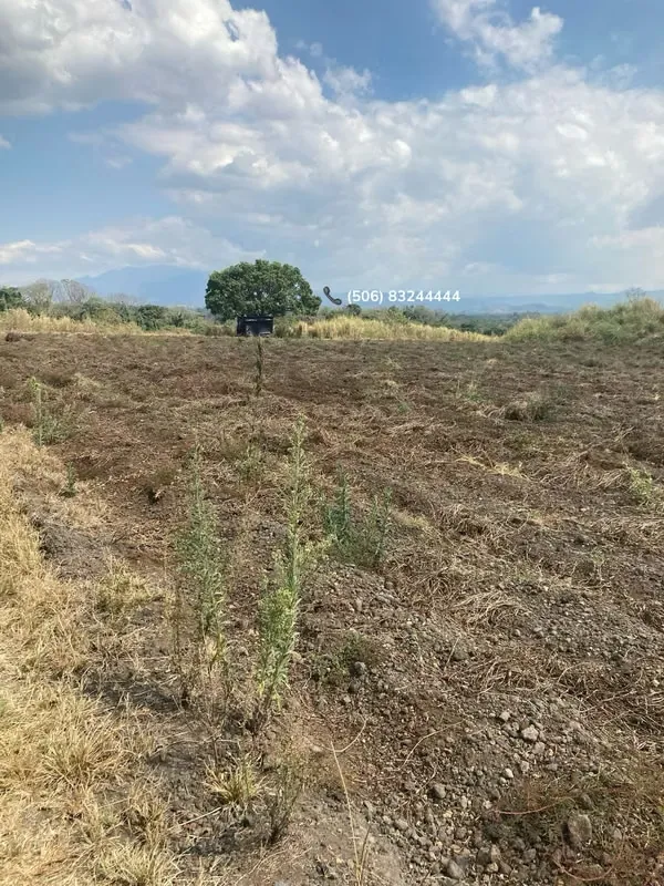 Industrial Property for Sale in Grecia.