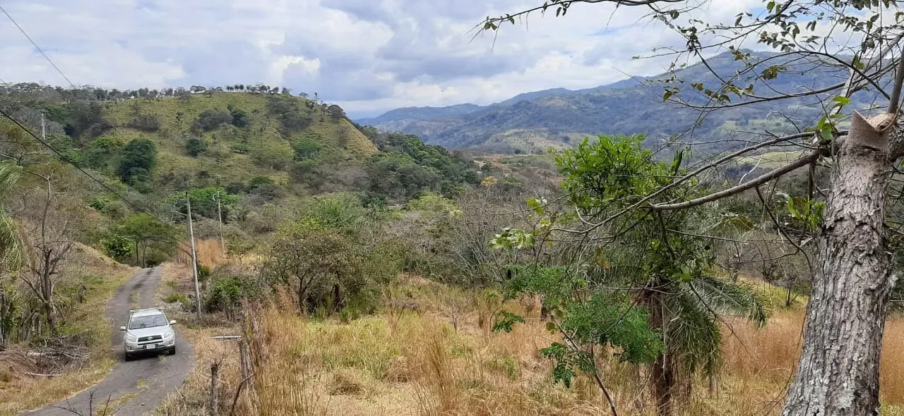 Opportunity for Land for Sale in Atenas, Jesús District