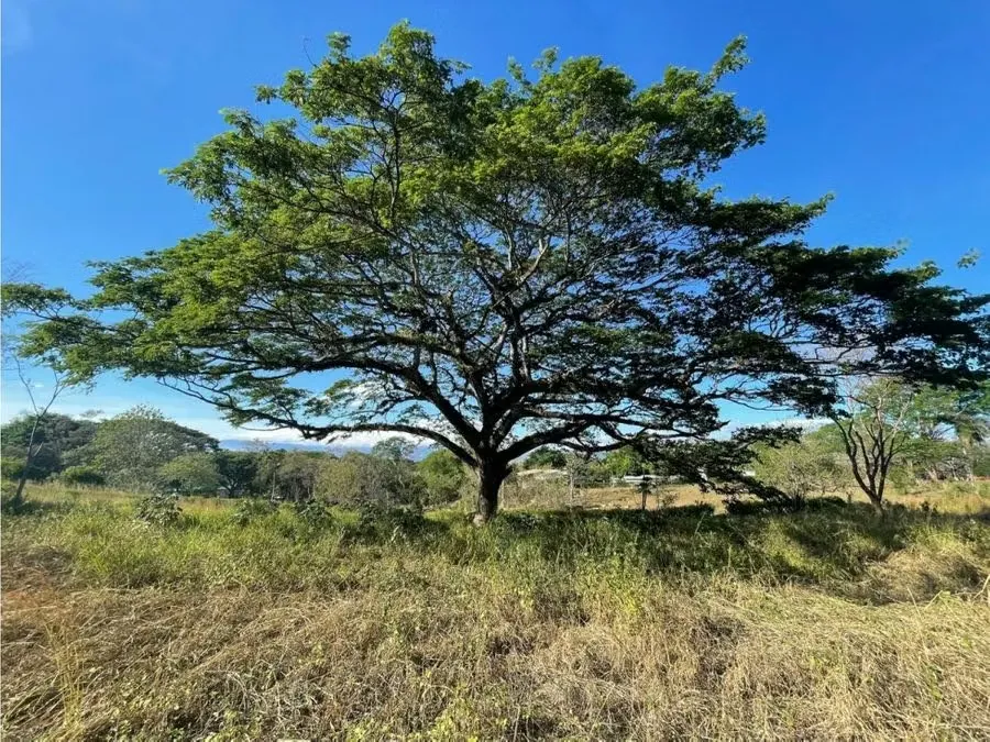 Venta Quinta en La Ceiba de Orotina