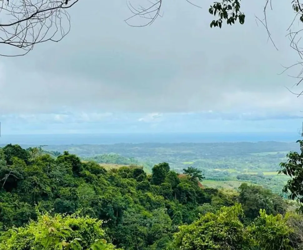Venta de Lote – Un Paraíso para Tu Próximo Desarrollo