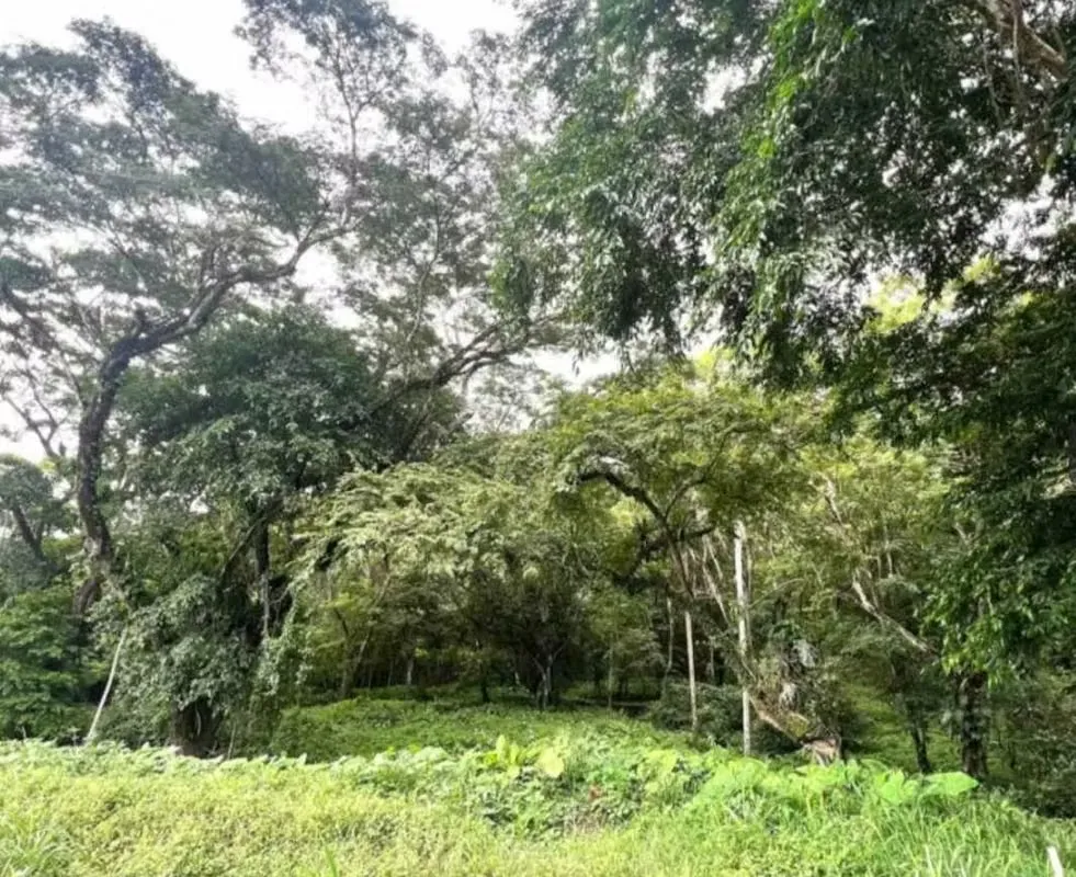 Venta de Lote – Construye Tu Casa de Playa