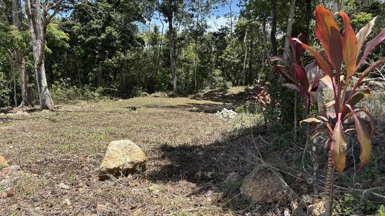 Propiedad en Venta – San Marcos de Tarrazú | 600 m² | Cerca de un Río