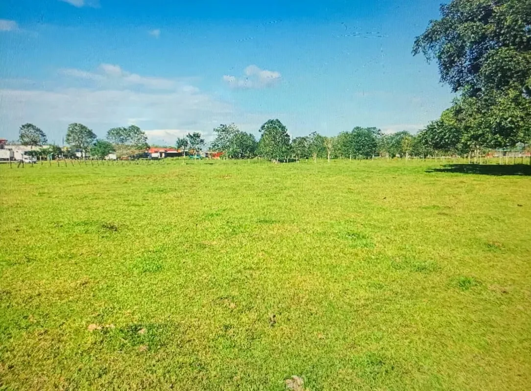 VENTA DE LOTE, ALAJUELA, SAN CARLOS, FLORENCIA, MUELLE
