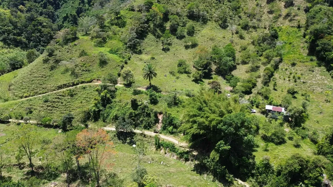 Farm for Sale in La Mina, Tayutic, Turrialba