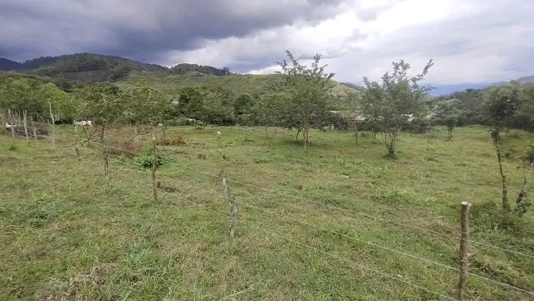 Farm for sale in Tayutic, Turrialba.