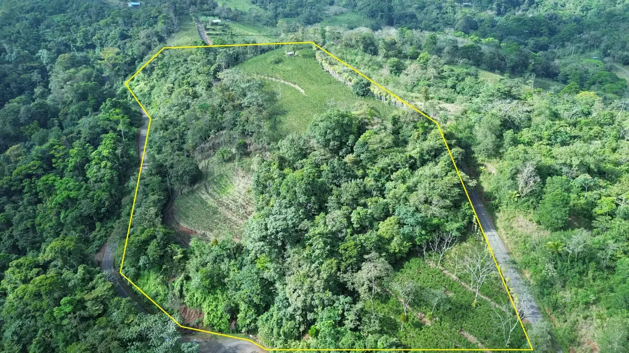Farm for Sale – 5.5 Hectares with Spectacular Views