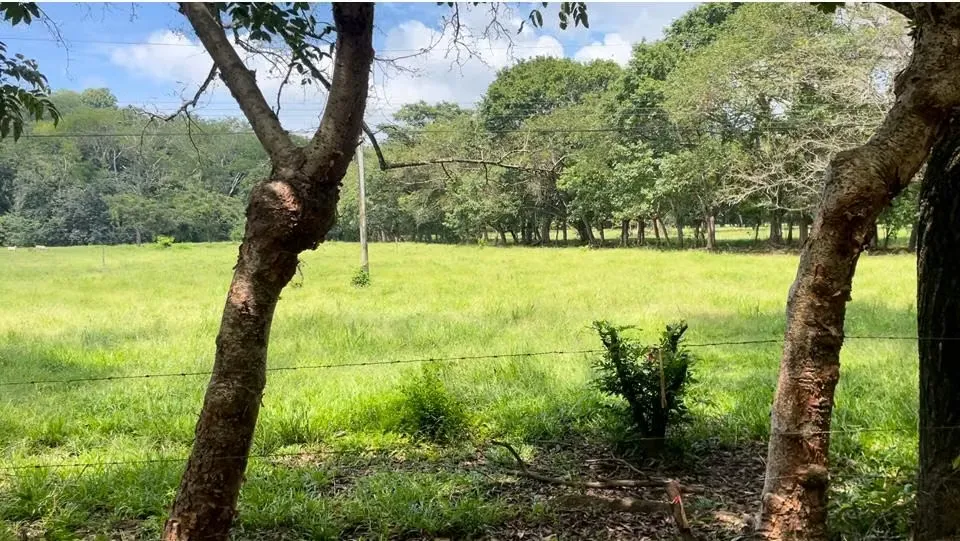Precioso lote en Playa Bejuco- Nandayure- Guanacaste
