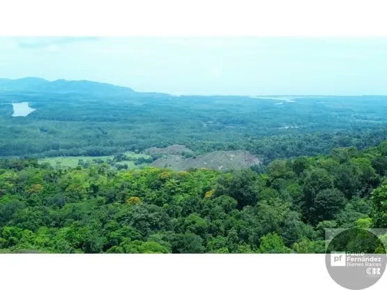 Finca de 107 Hectáreas en Sierpe, Osa (Ganadería + Turismo)