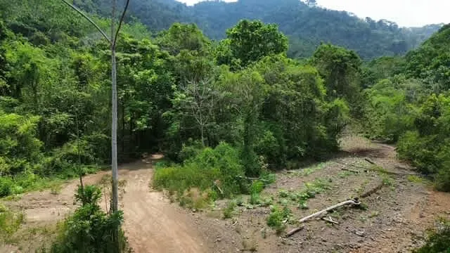 Finca para desarrollo Eco Turismo y habitacional