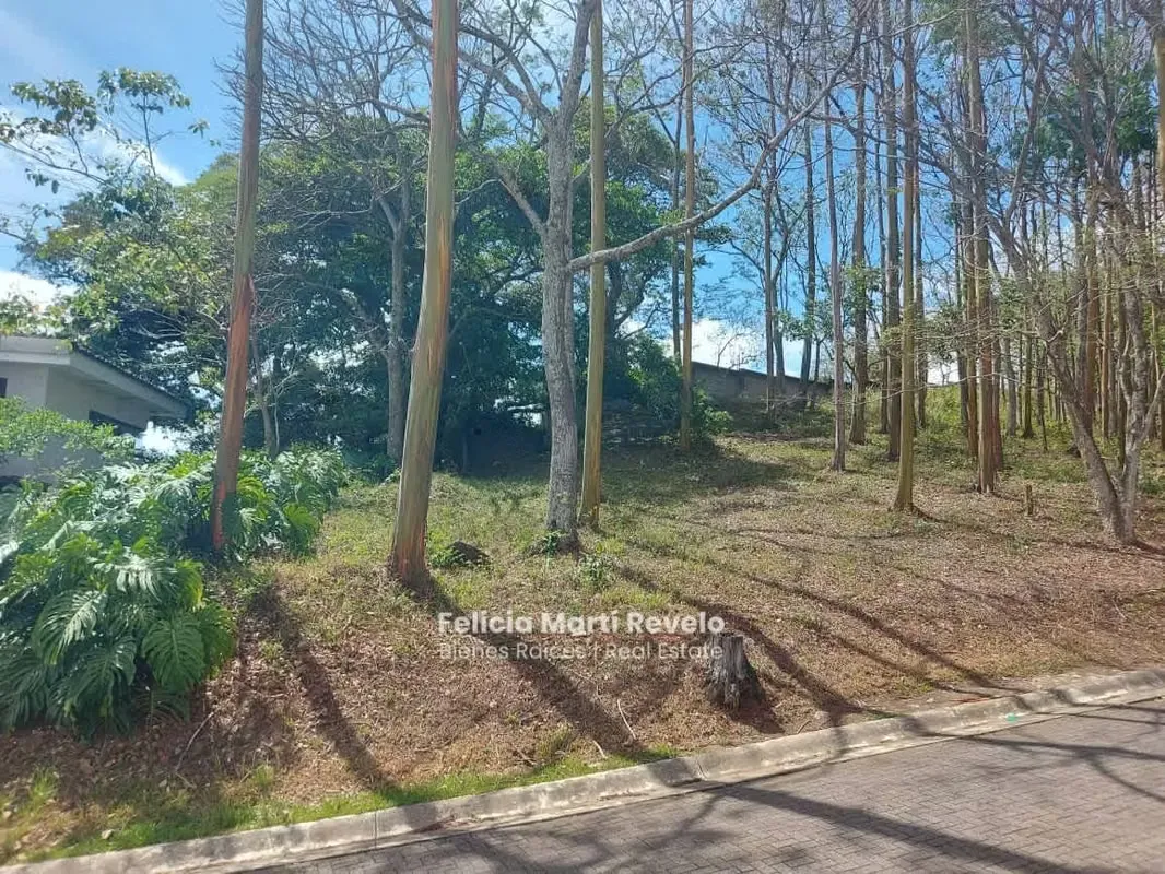 LOTES EN EXCLUSIVO CONDOMINIO HDA EL COCOY, ESCAZÚ