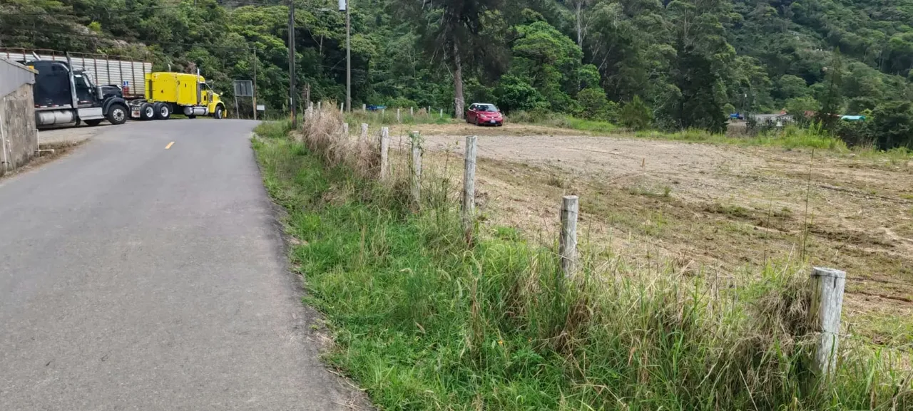 456 La Cangreja, El Guarco se Alquila Predio