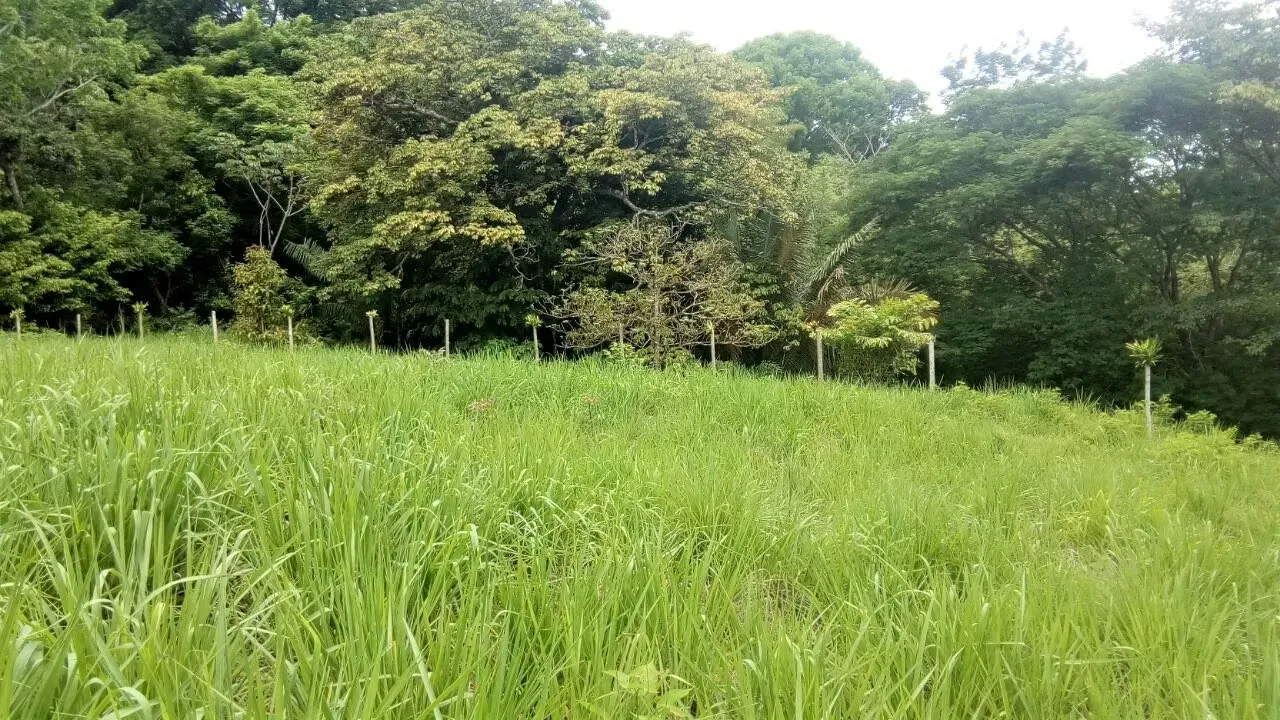 LOTES EN VENTA CERCA DE PLAYA COYOTE – GUANACASTE (GP 1307 - 1)