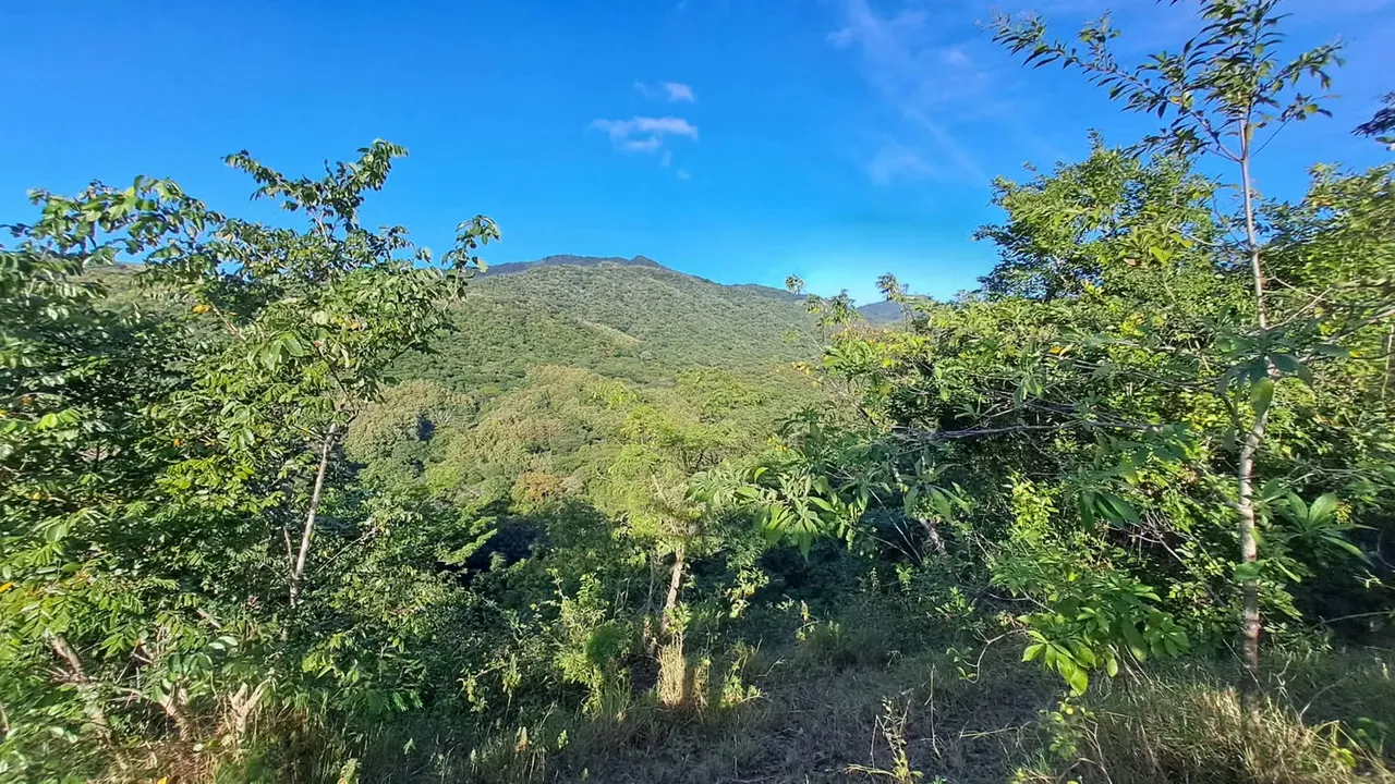 FINCA EN VENTA, NICOYA, GUANACASTE. 137,3 HECT. VISTAS Y RIO .