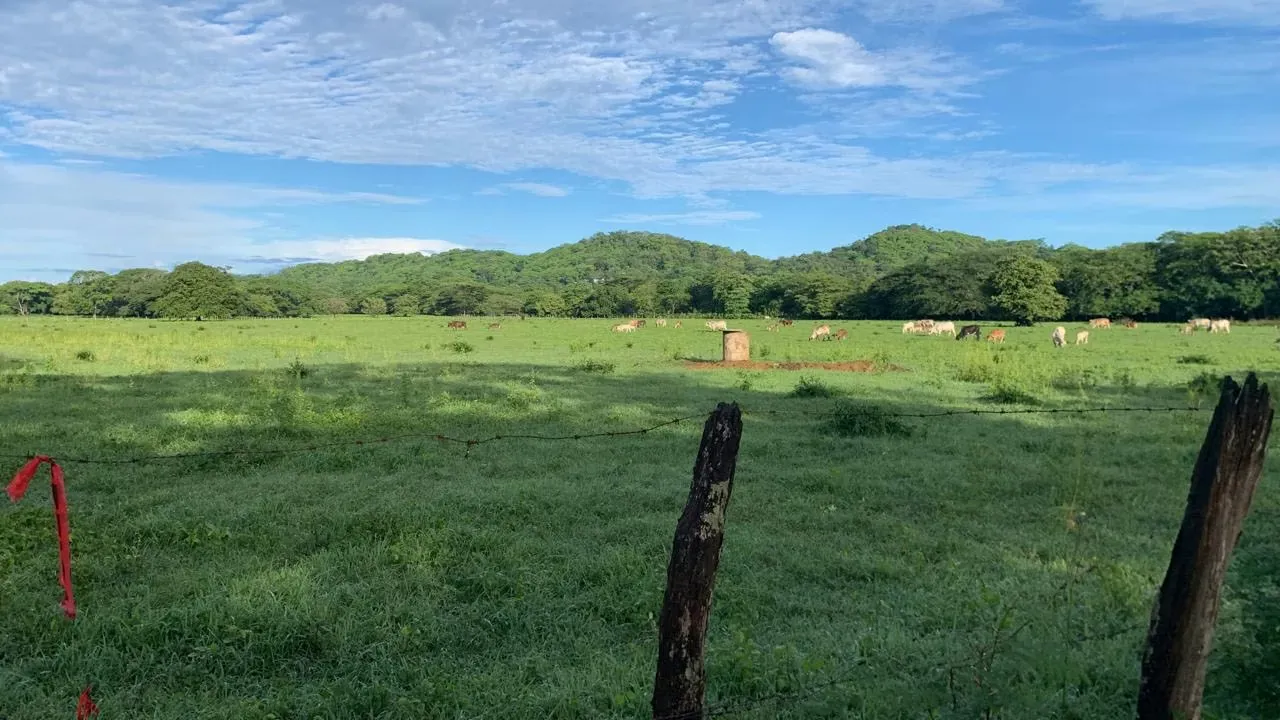 Lote Plano, Excelente Inversión en Área de Crecimiento