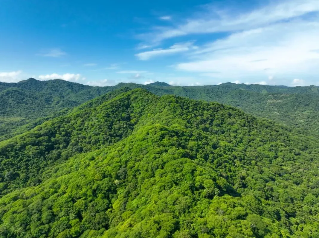 Lagunilla, Hacienda El Rincón – 250 Acres,  Prime de Desarrollo