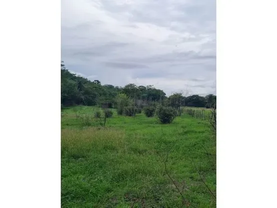 FARM FOR SALE, GUANACASTE, BAGACES