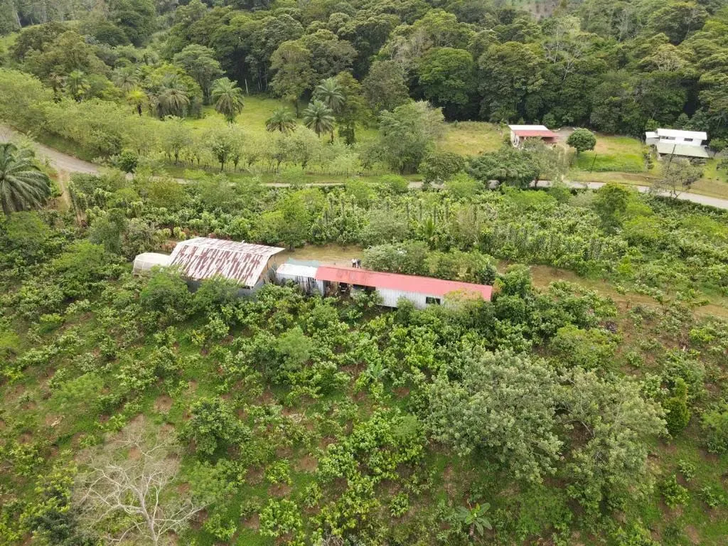 Cocoa Farm for sale 10 Hectáreas - Virgen de Sarapiquí Heredia
