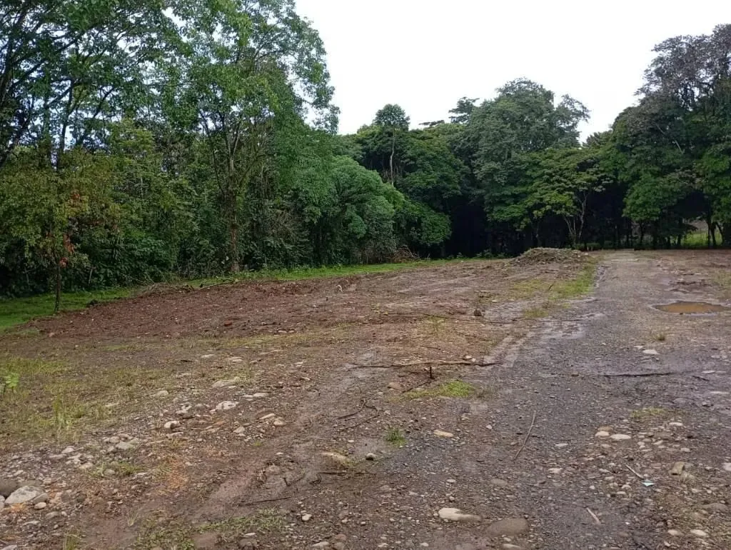 Nice property at excellent price, all services.