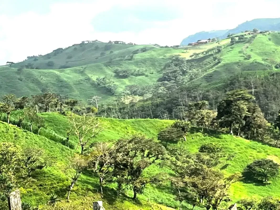 Venta finca Alajuela Zarcero ganado lechero