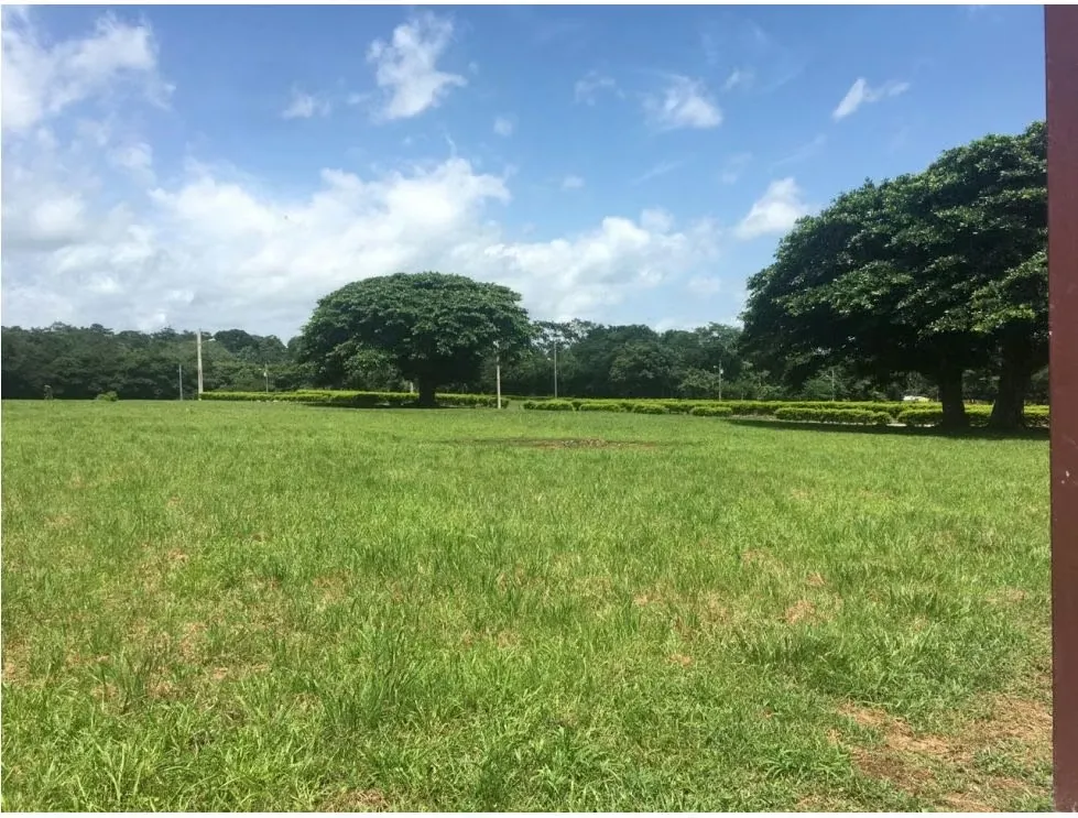 LOT FOR SALE, PUNTARENAS, HACIENDA MONTES DE ORO