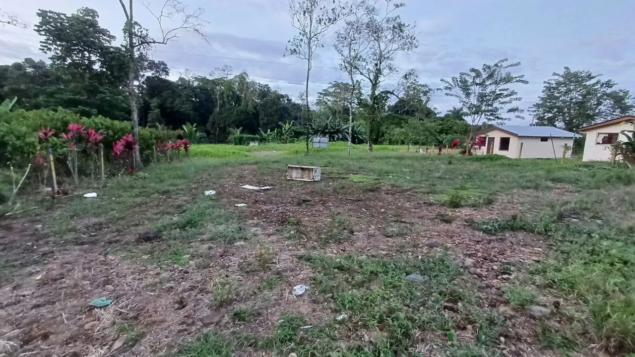 Location: 75 meters south and 300 meters west of the New Dawn School, Pocora, Guácimo