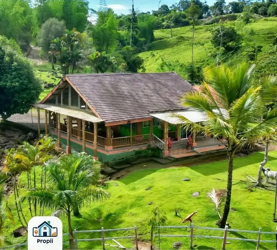 Se Vende Finca de Producción y Naturaleza en Siquirres, Limón