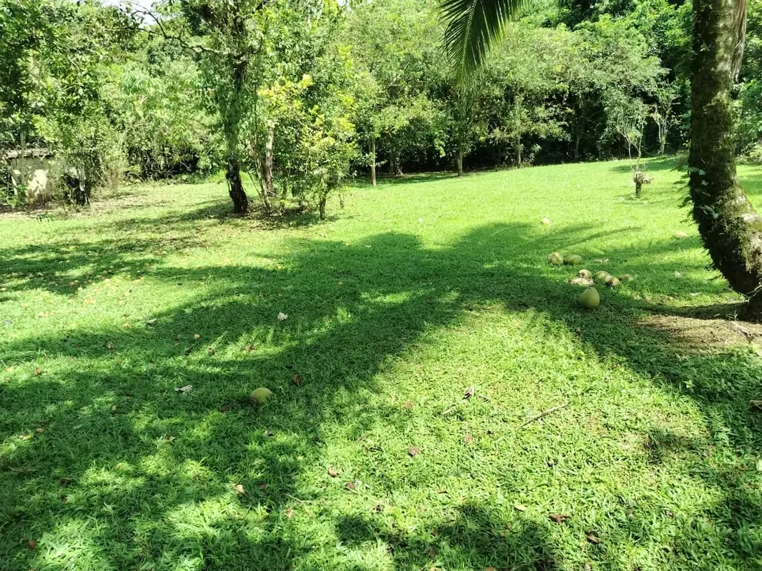 Oportunidad Única: Terreno de 1 Hectárea en Quebrada Honda, Pocora – Guácimo