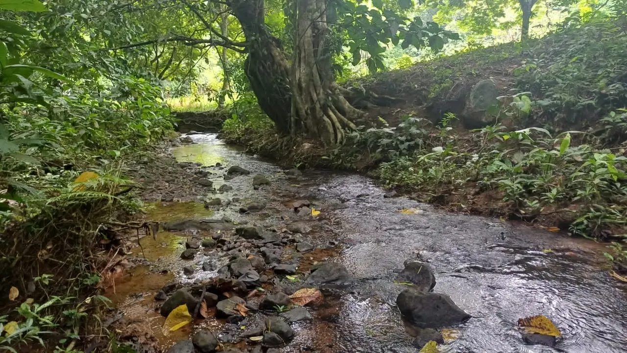 Terreno de oportunidad