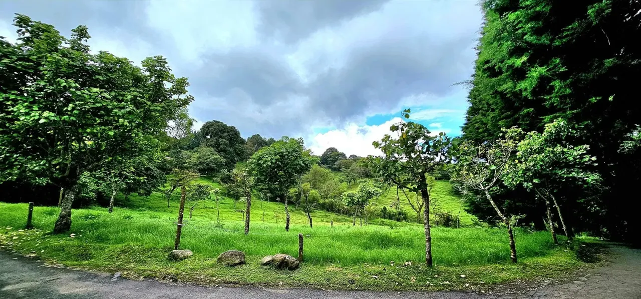 Lot for sale in San Rafael de Coronado READY TO BUILD.