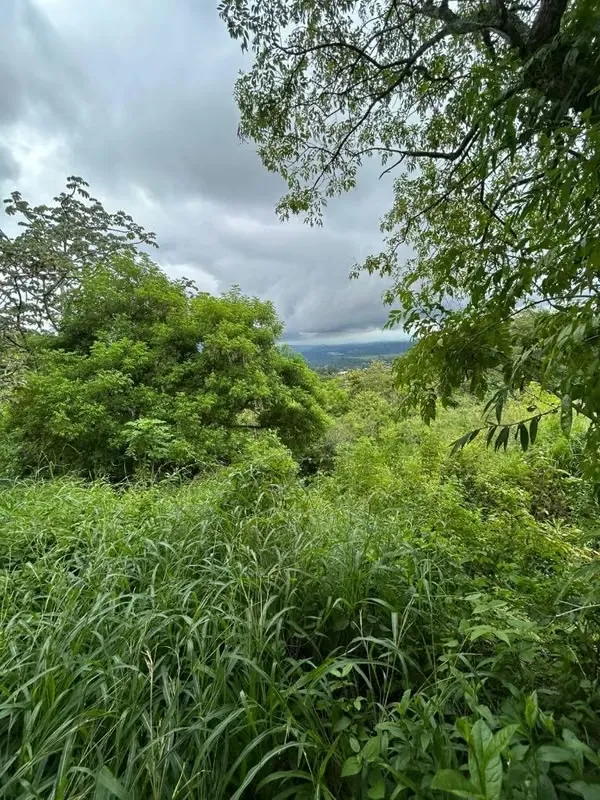 A la venta lote con vistas Cuesta Brava, Brasil de Mora, San José