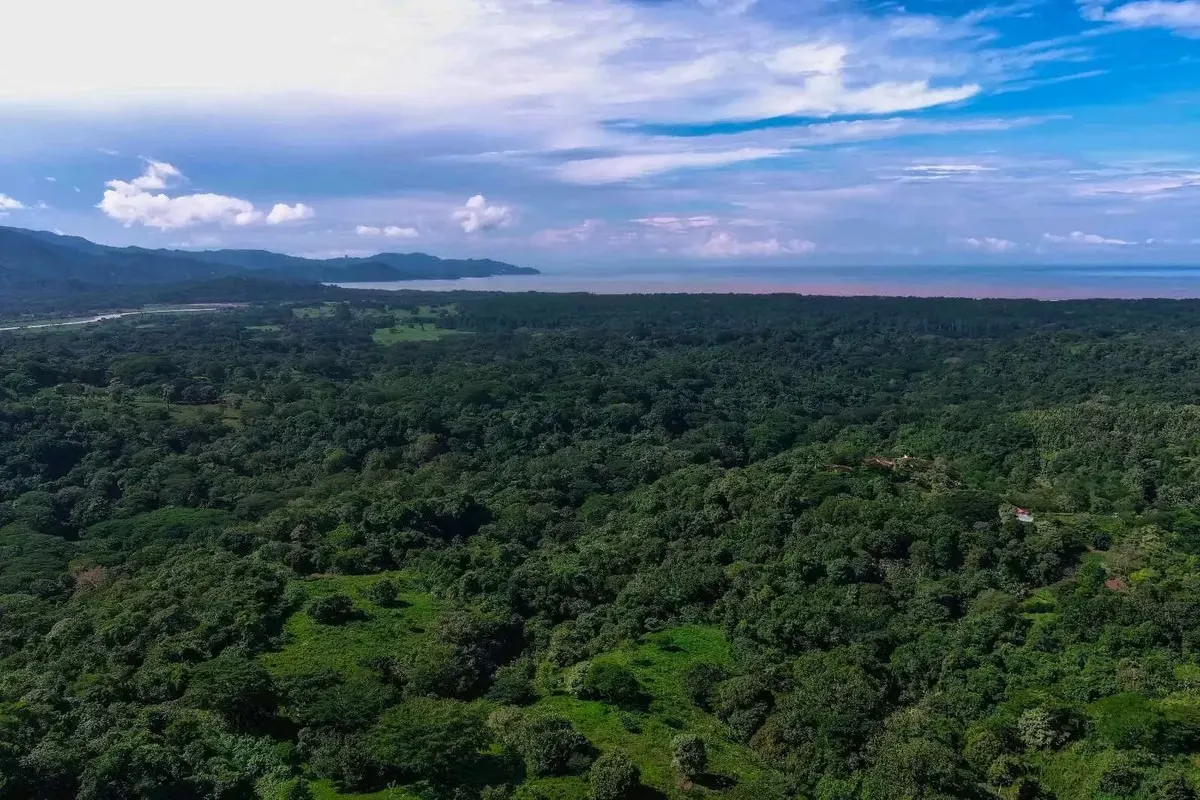 Terreno en Garabito: Lote de 4 Acres en la Comunidad Eco Desarrollo