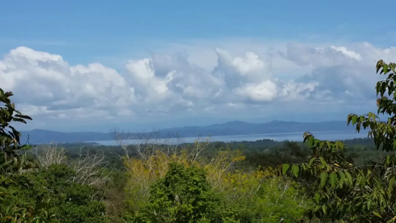 Ocean view farm, Puerto Jimenez, Puntarenas