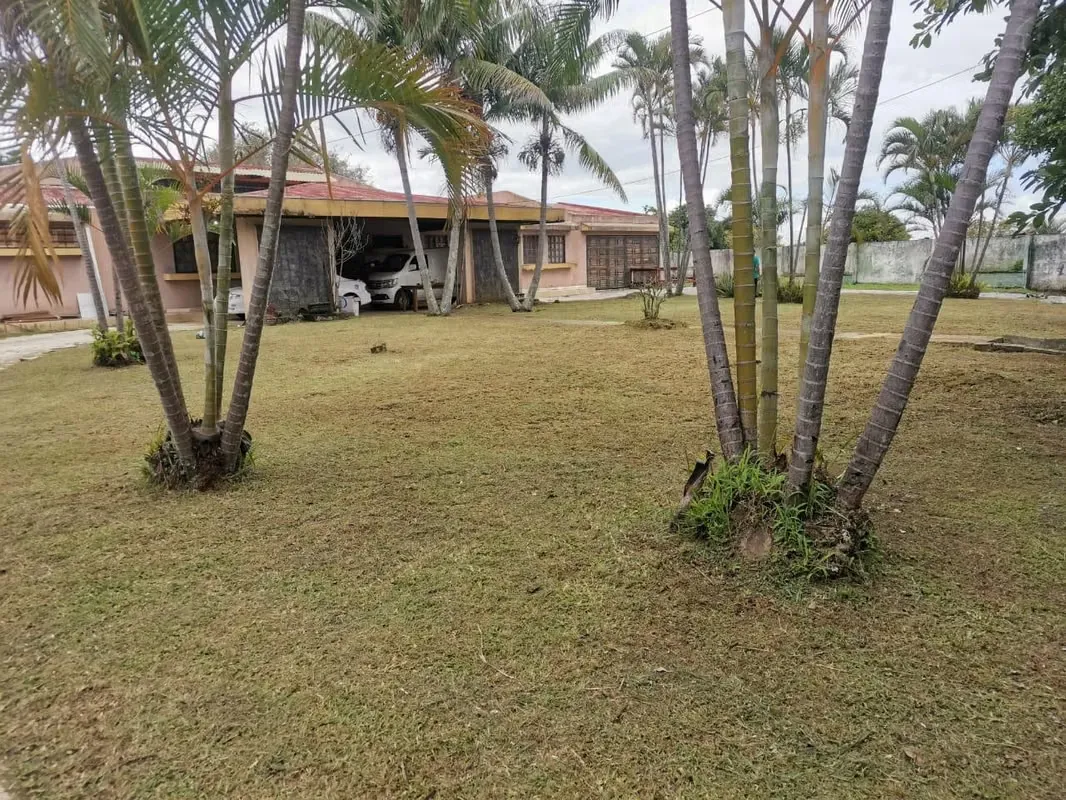 Venta de Propiedad Estratégica con Uso de Suelo Mixto – Comercial y Habitacional
