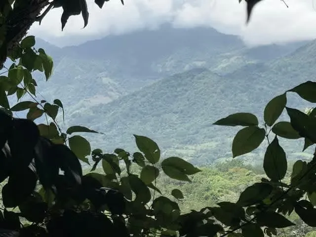 HA Land for Sale in Turrubares #26-329