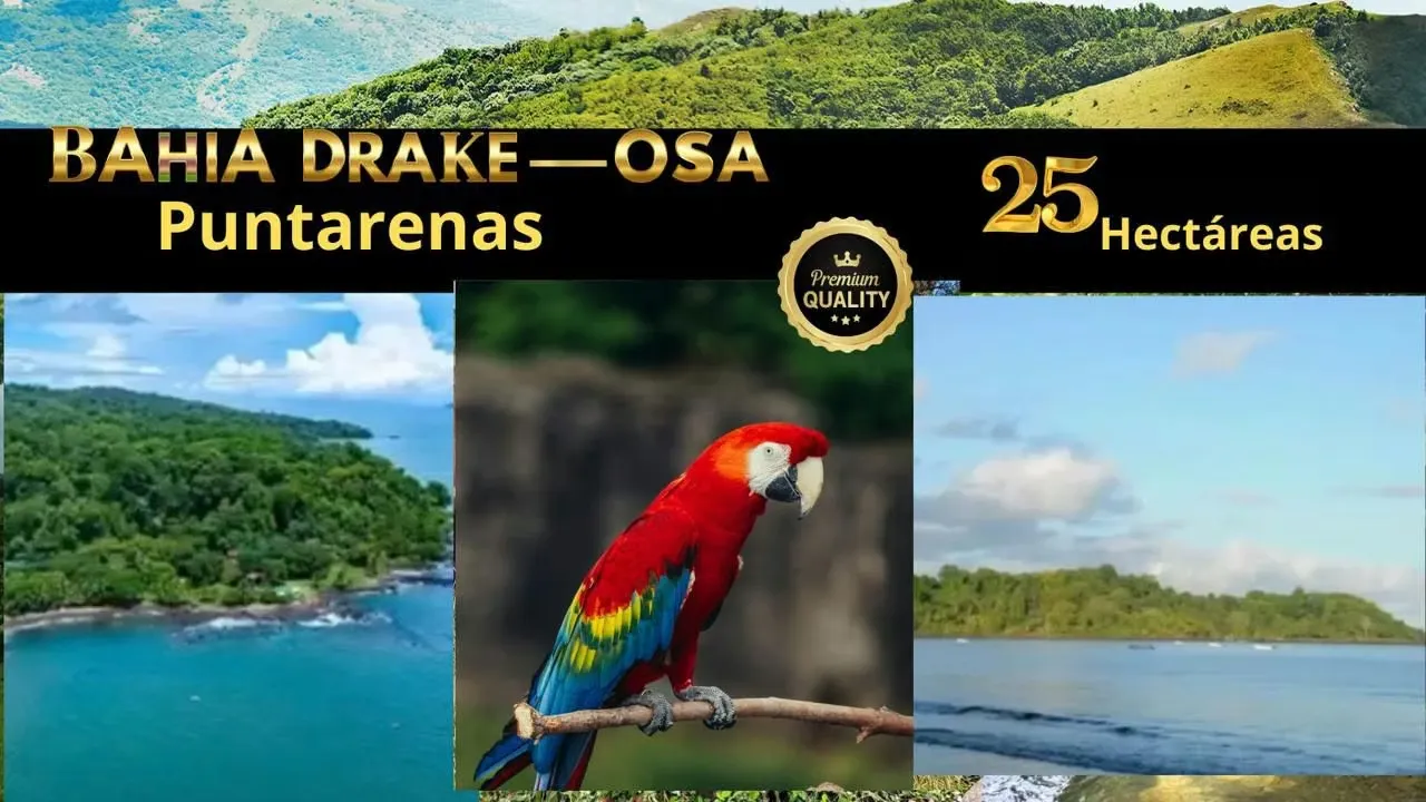 Exclusive Oceanfront Property in Bahía Drake Osa Peninsula