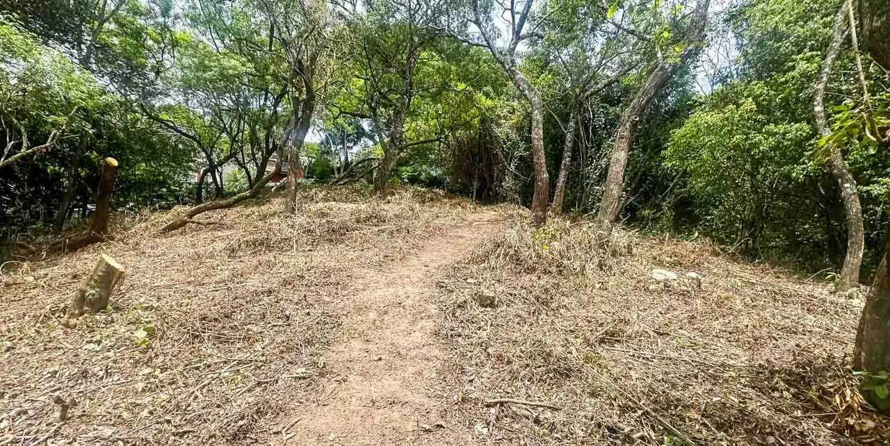 Terreno en Venta en Exclusivo Residencial, Brasil de Mora