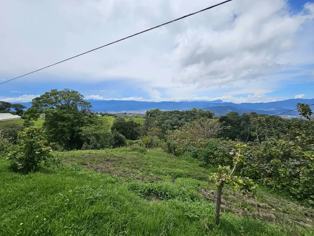 MA Asesorías vende hermosa finca de tierra fértil con cultivo de fresas, zanahorias y recién cultivo de más de 100 ...