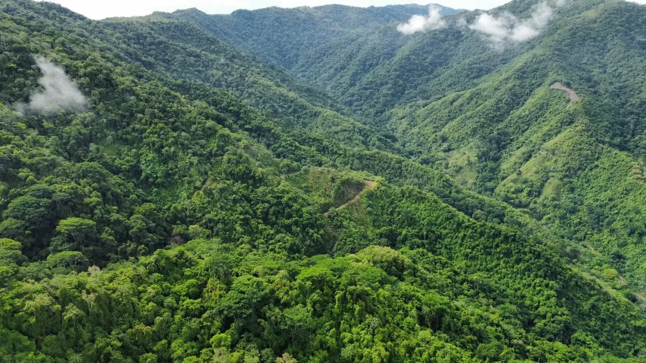 Venta de amplio terreno de montaña (65 ha) en Quebrada Ganado -EU