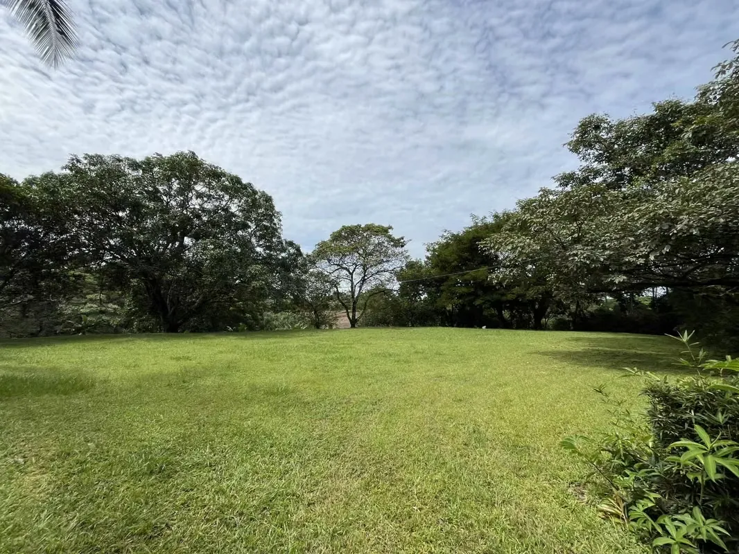 Land for Sale in Mastate, Orotina – 4,000 m² of Nature and Potential