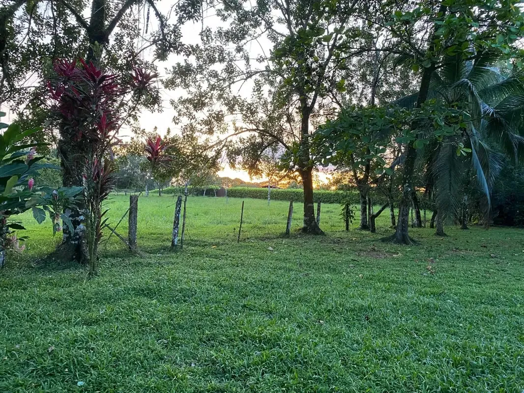 FARM WITH HOUSE FOR SALE, HEREDIA, SARAPIQUI, LA VIRGEN - 9498020