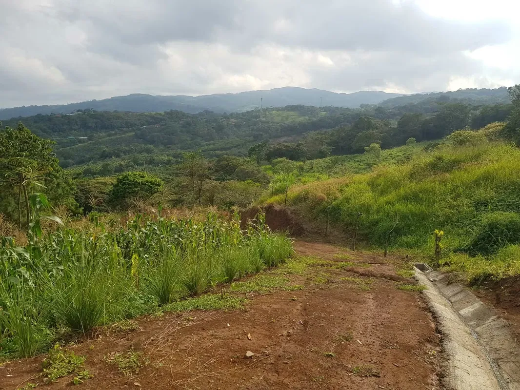 El terreno localizado a 10 Kilómetros del Parque de San Ramón, y a 2 kilómetros de Piedades Sur, ...