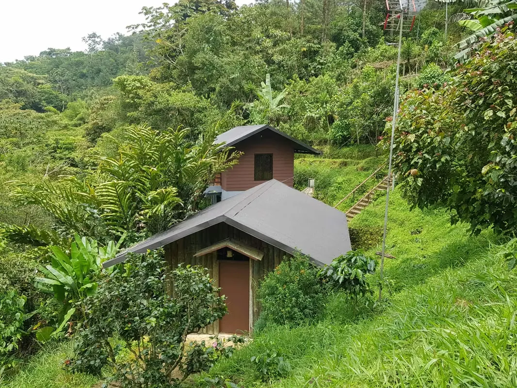 Finca en Rincón de Mora, San Ramón de Alajuela