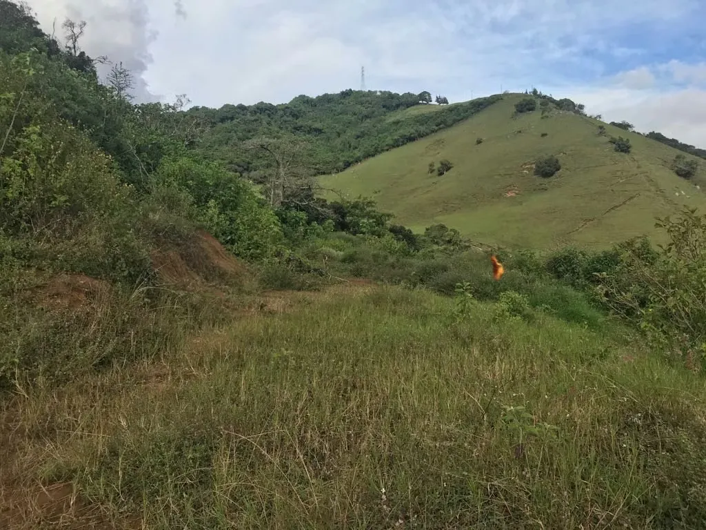MA Assistorias sells land in the mountain of Quircot of San Nicolás de Cartago