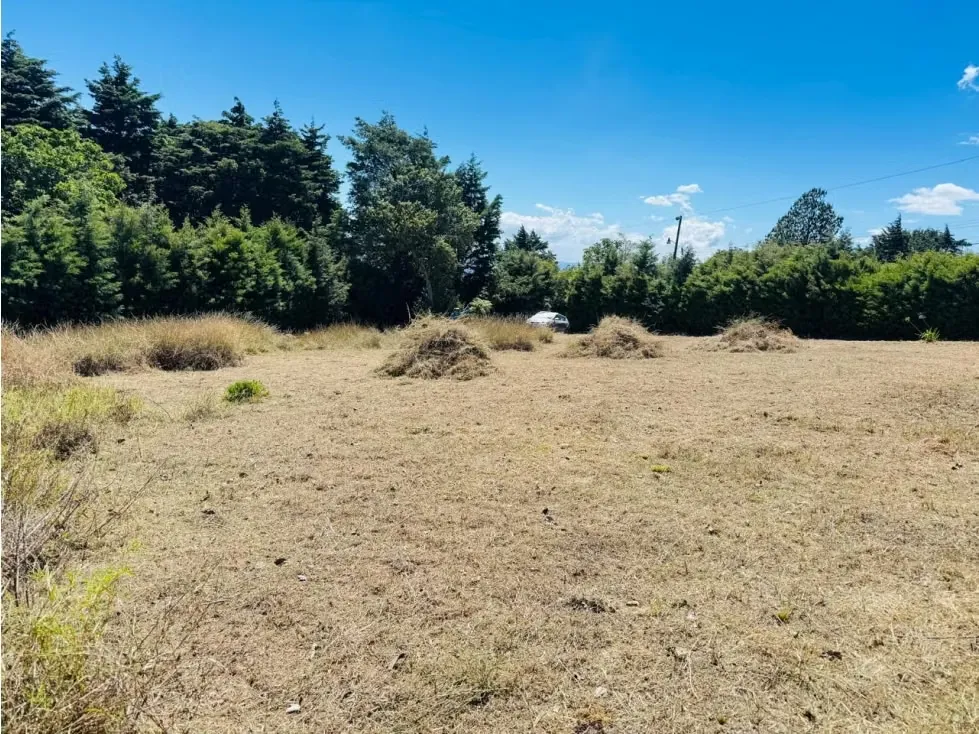 VENTA DE TERRENO, SABANA REDONDA, POAS 4049 (GC)