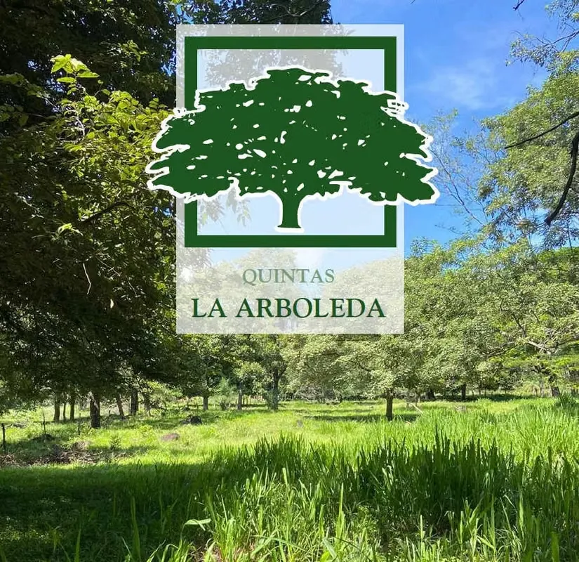MA Asesorías Vende 24 lotes en Residencial La Arboleda, un proyecto ubicado en las faldas del Volcán ...