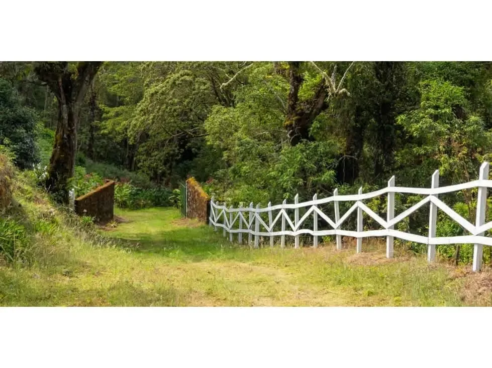 Corredor Biológico, Bosque y Alto Potencial Ambiental